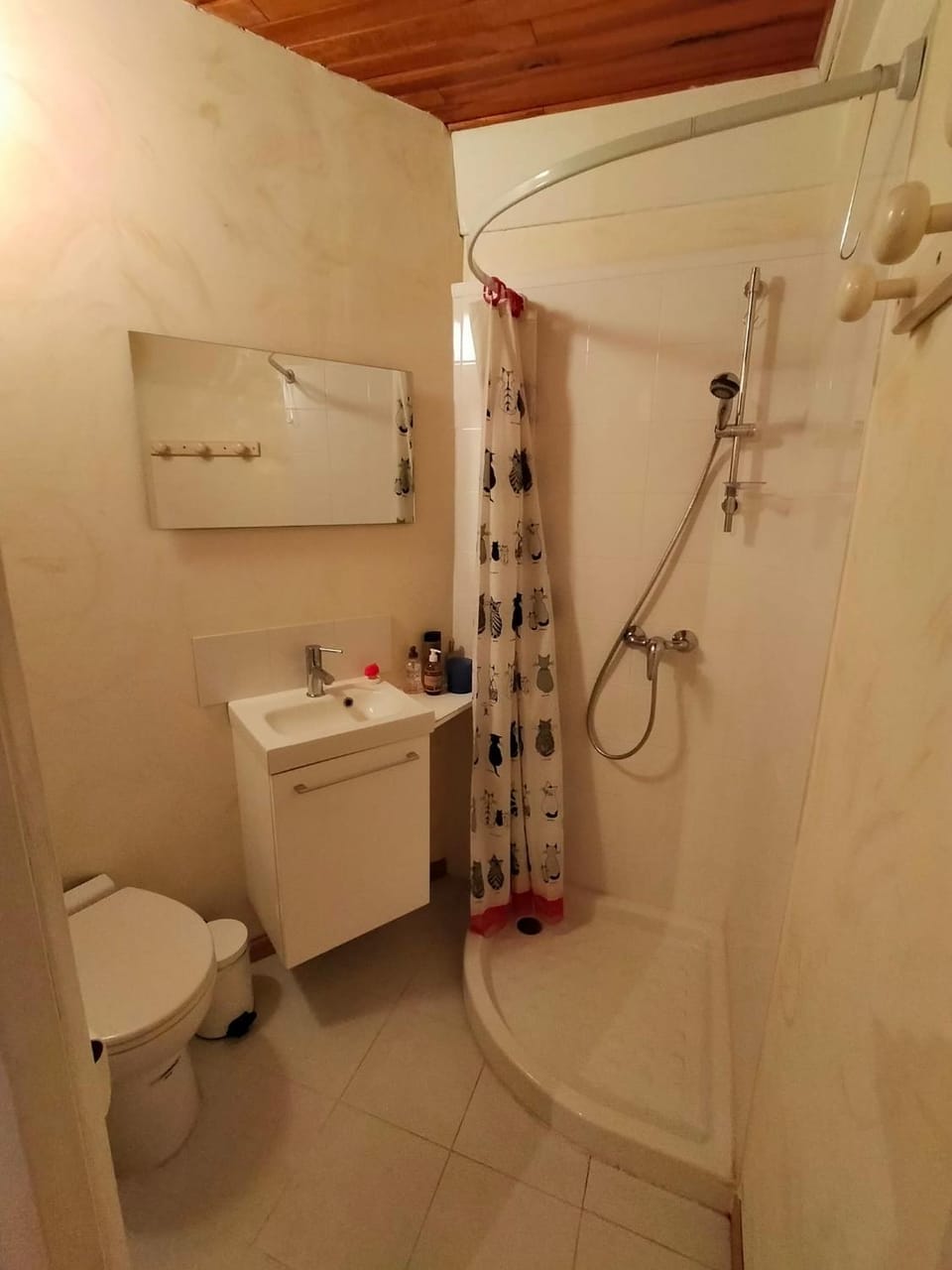 Shower, Toilet, Bathroom