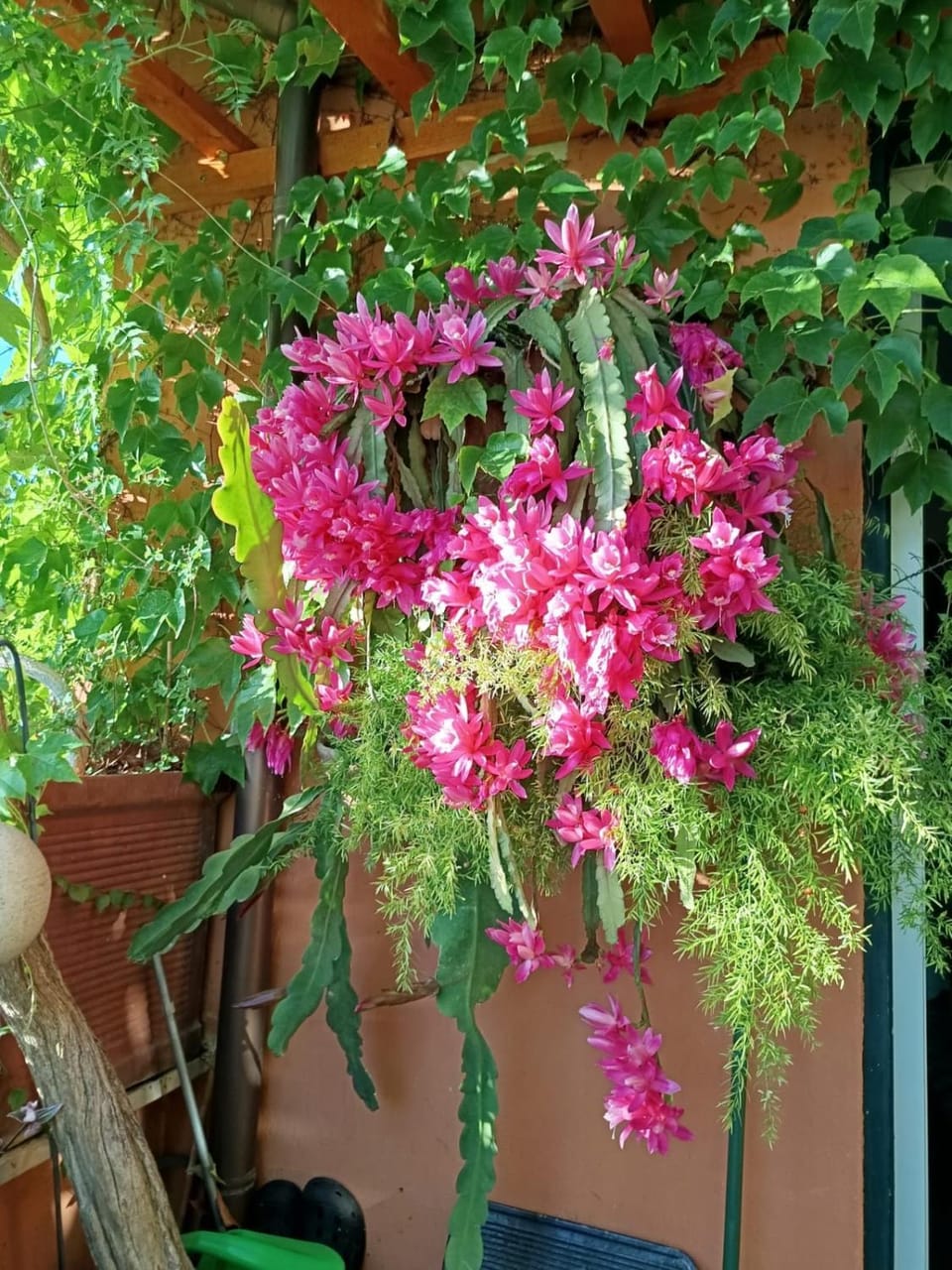 Casa San Biagio Apartment in Lazio