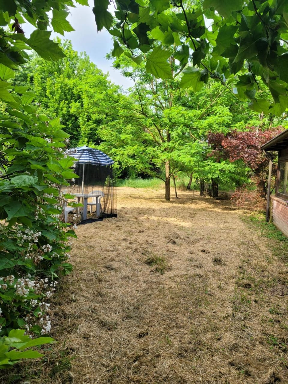 B&B Arcadia Bed and Breakfast in Lombardy
