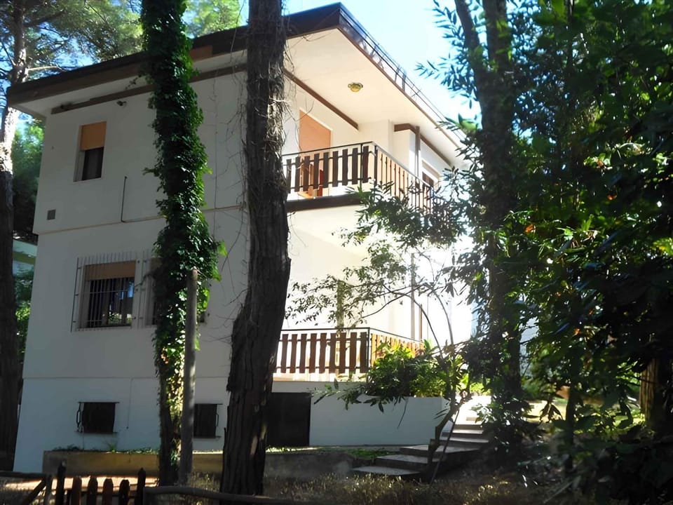 Property building, Summer