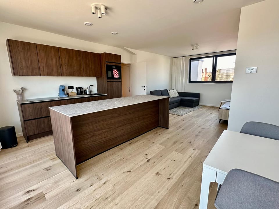 Ghent Penthouse Apartment in Ghent