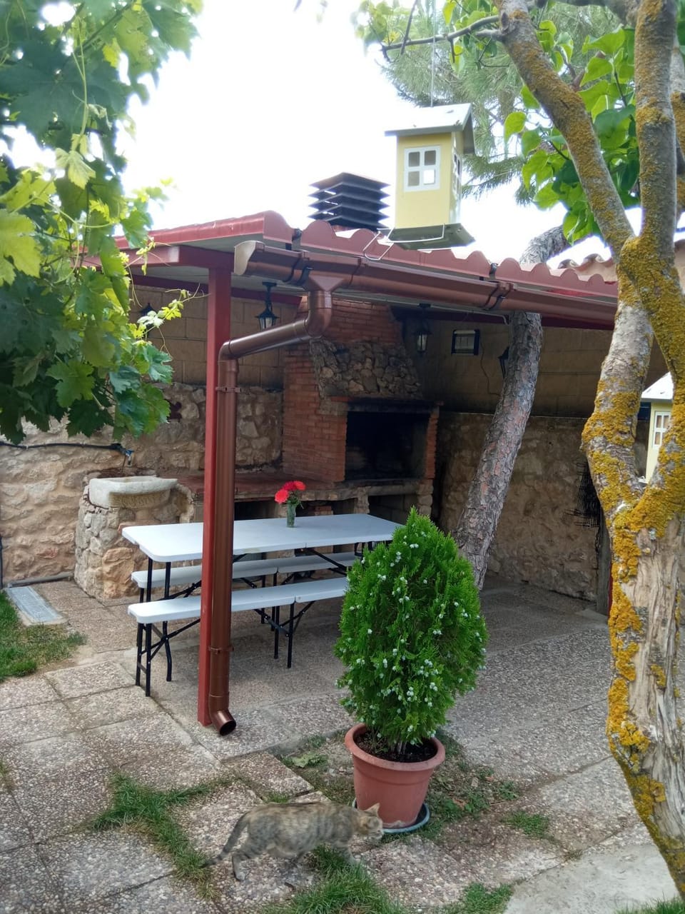BBQ facilities, Garden