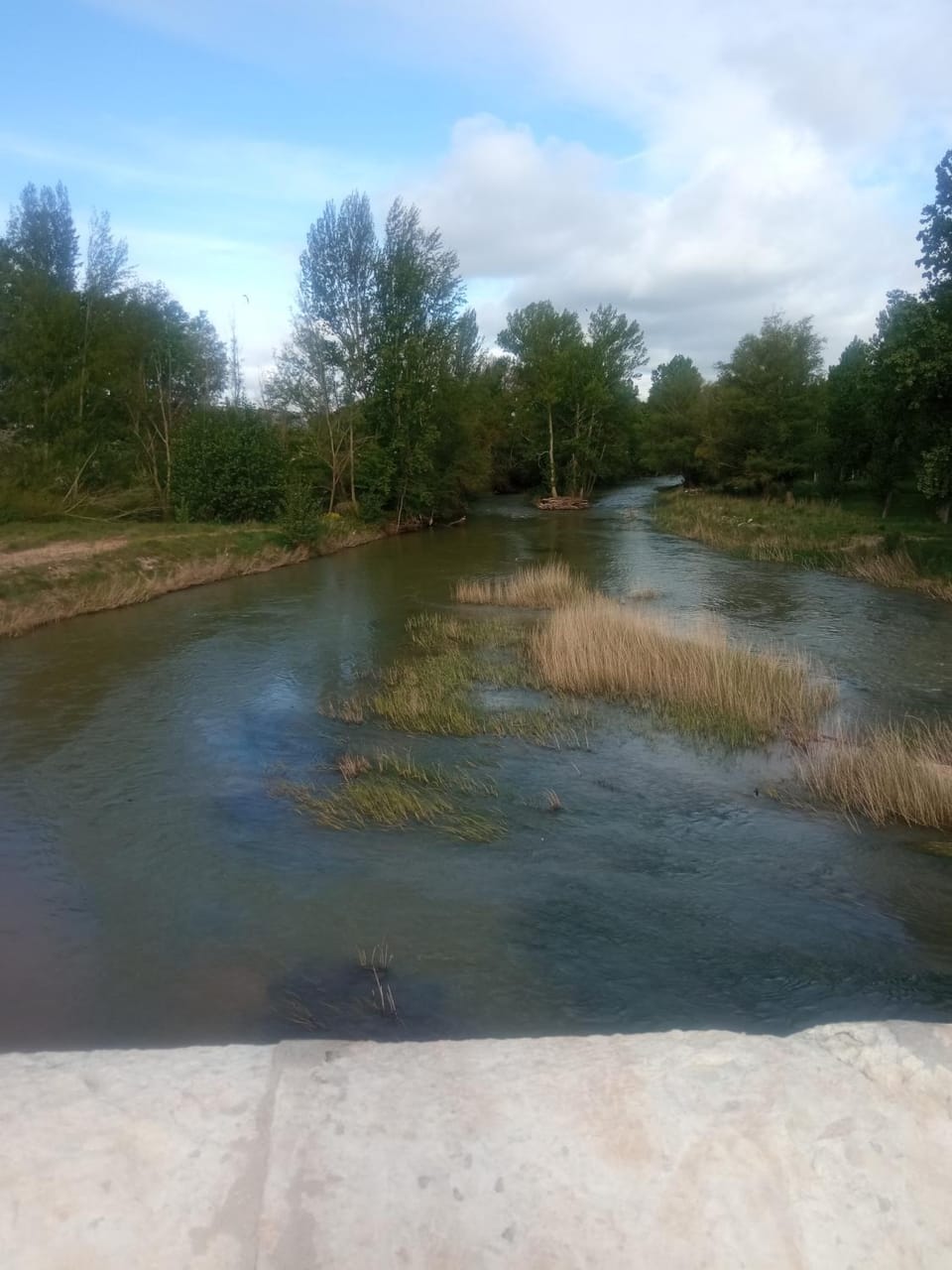 Natural landscape