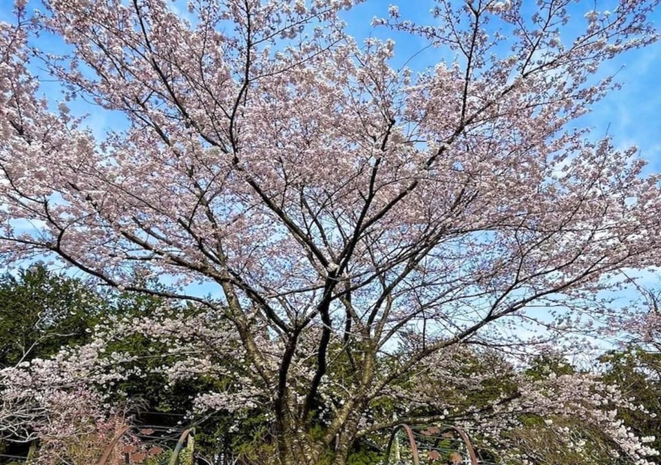 Biwako Hills - Vacation STAY 57199v House in Shiga, Japan