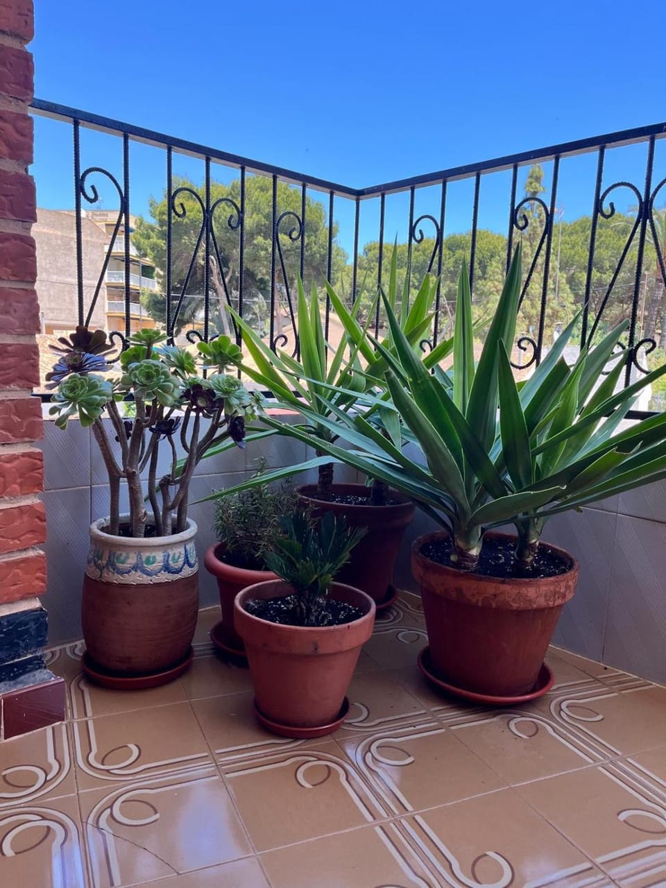 Holiday Vintage Apartment Apartment in San Pedro del Pinatar