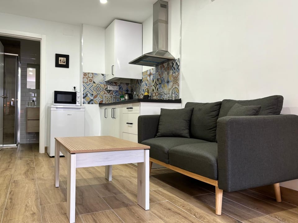 Why Not Málaga Apartments Vacation rental in Malaga