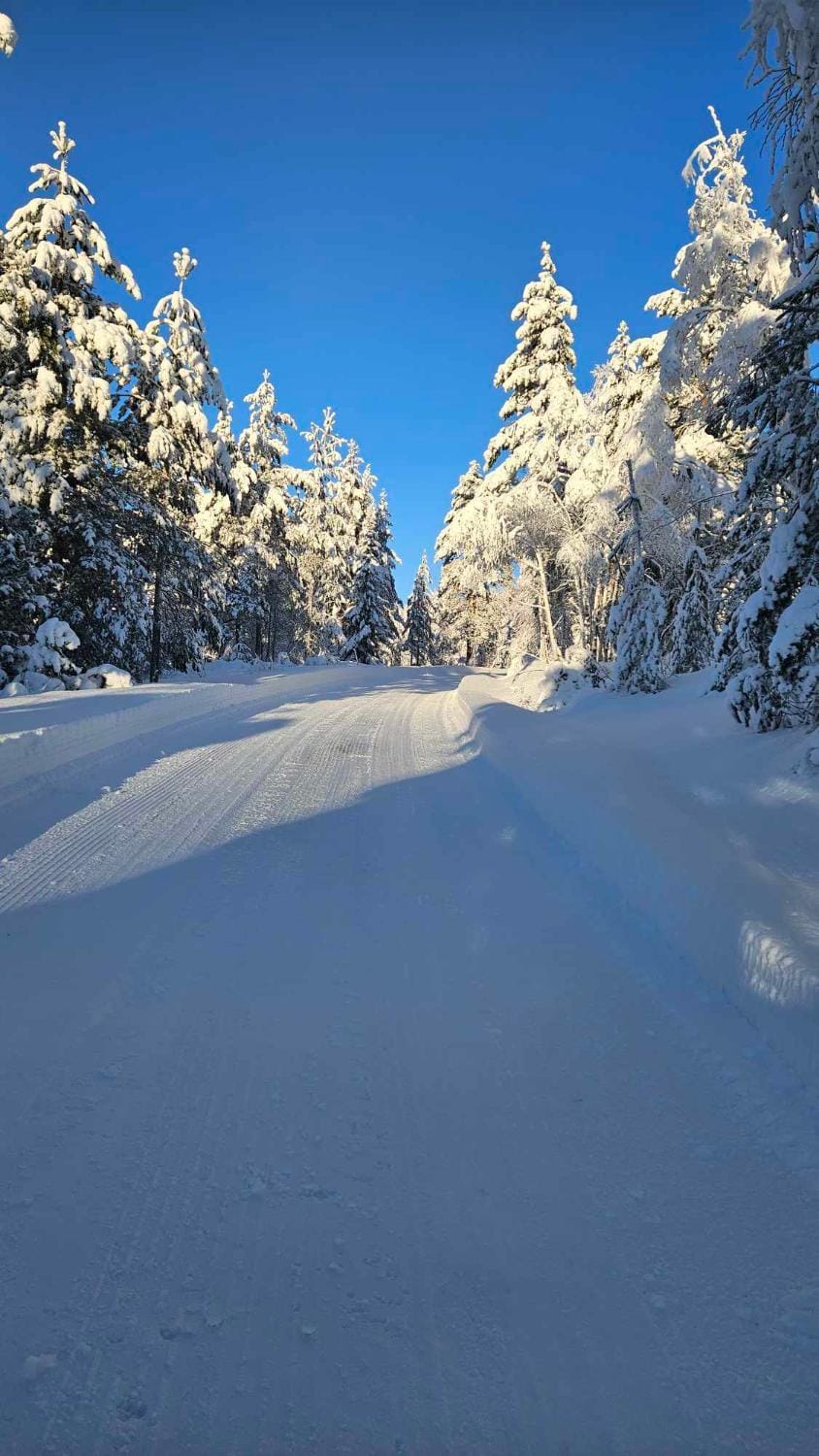 Day, Natural landscape, Winter