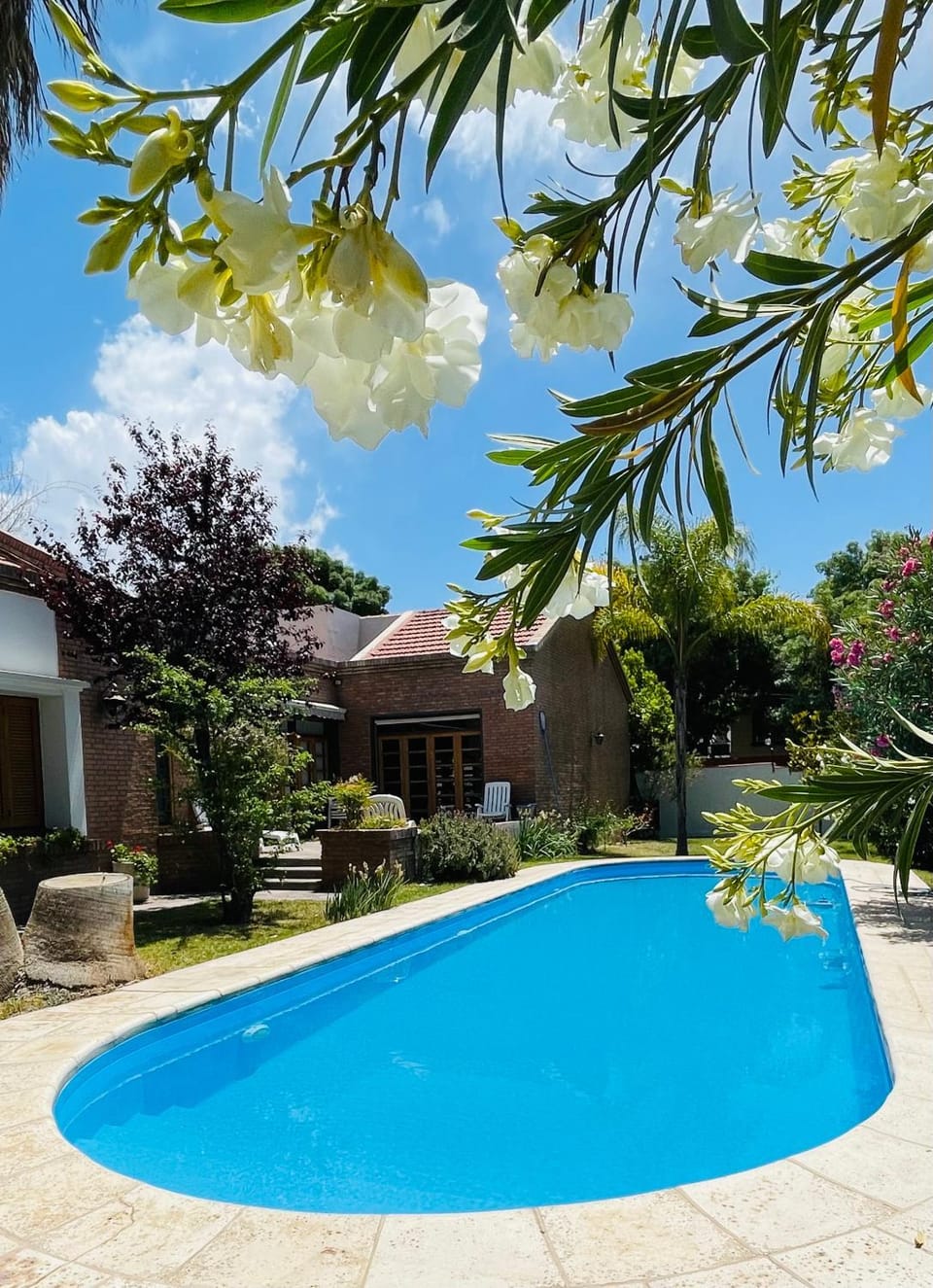 Spring, Day, Garden, Garden view, Pool view, Swimming pool