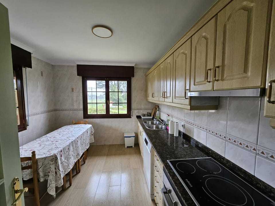 Kitchen or kitchenette, dishwasher, stove