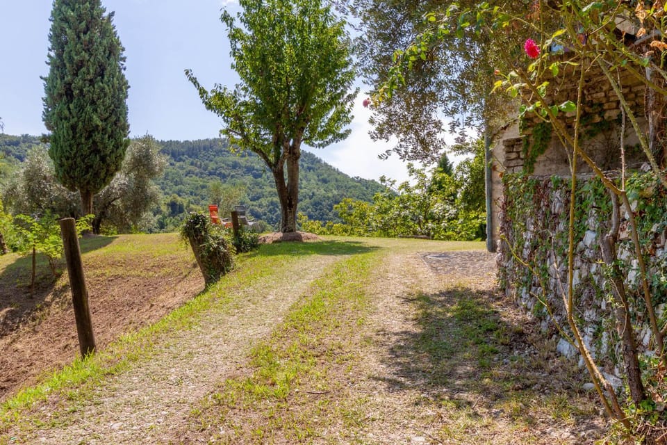 Natural landscape, Garden view