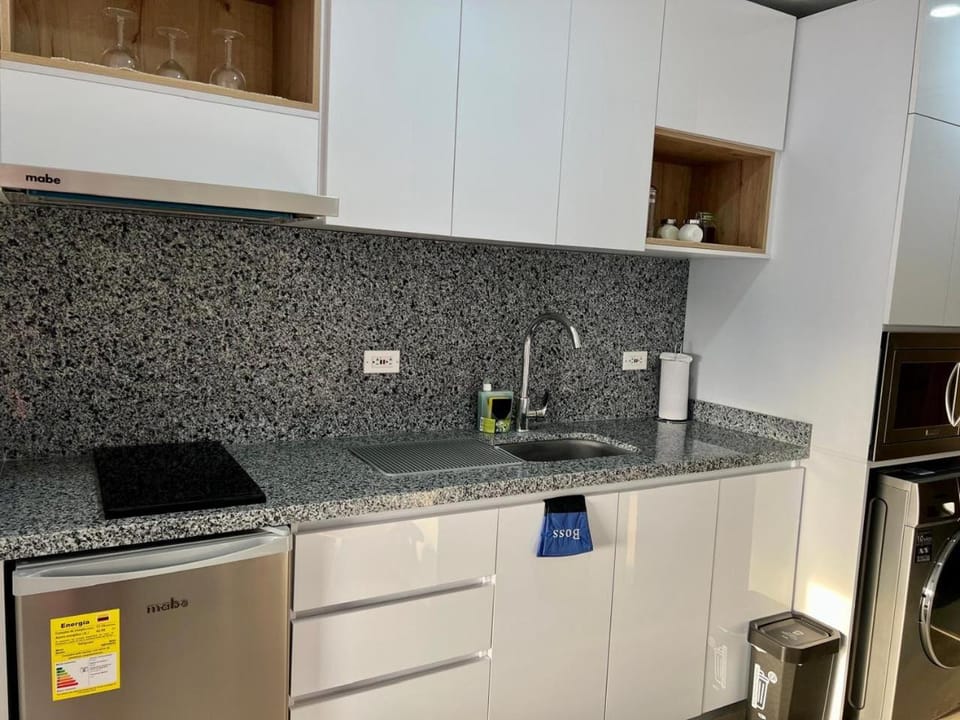 Kitchen or kitchenette, dishwasher, stove