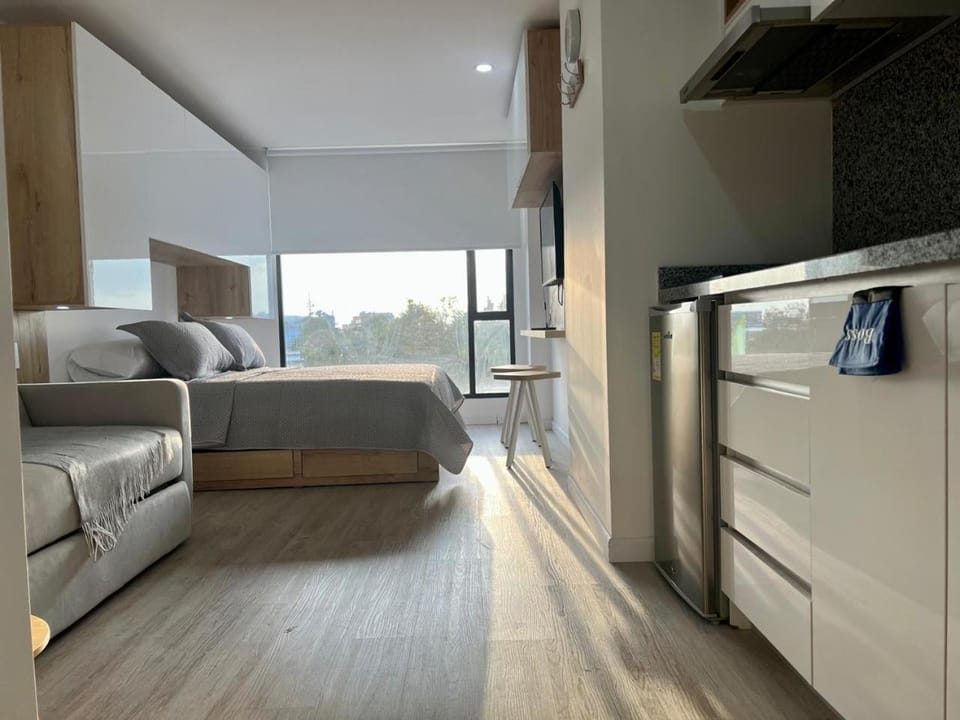 Bed, Kitchen or kitchenette, Living room, Photo of the whole room, Bedroom