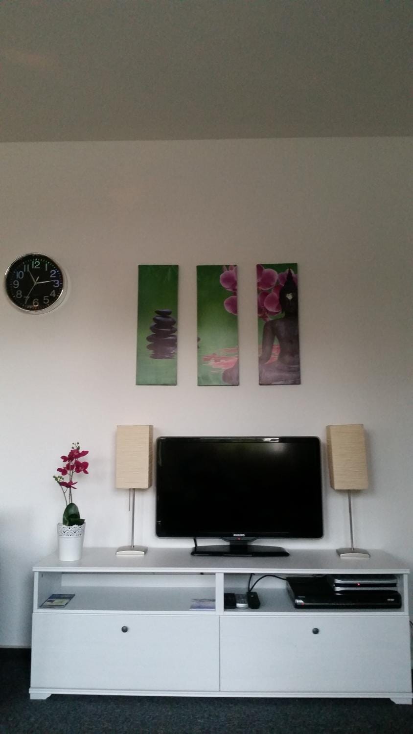 TV and multimedia