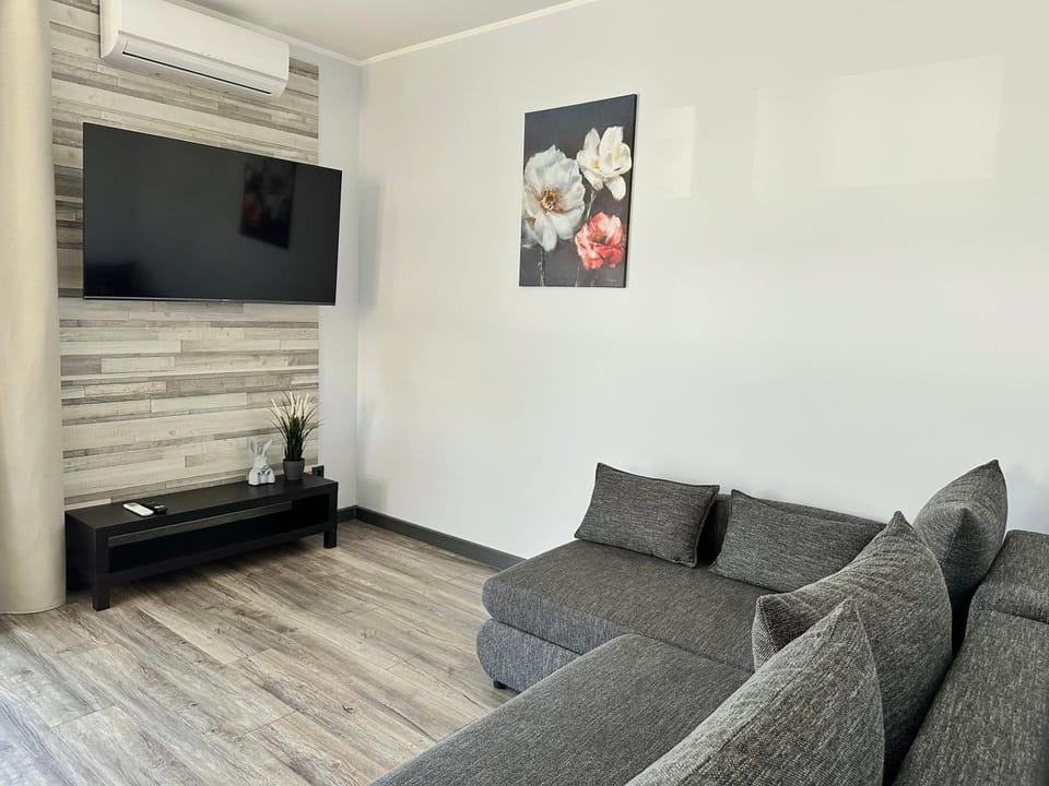 TV and multimedia, air conditioner
