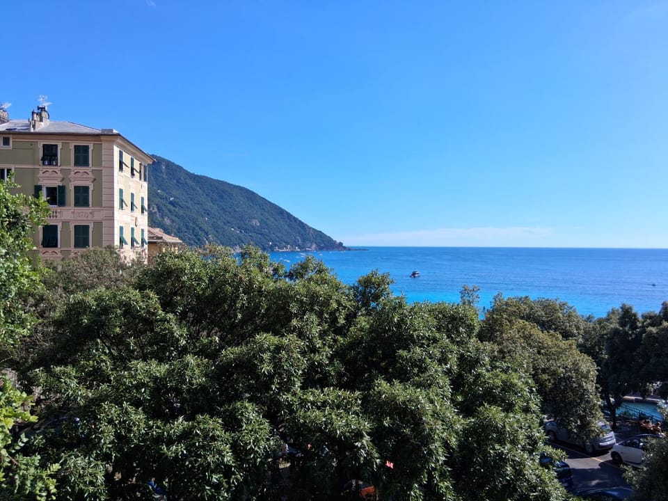 Sea view