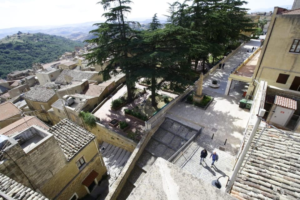 Neighbourhood, City view