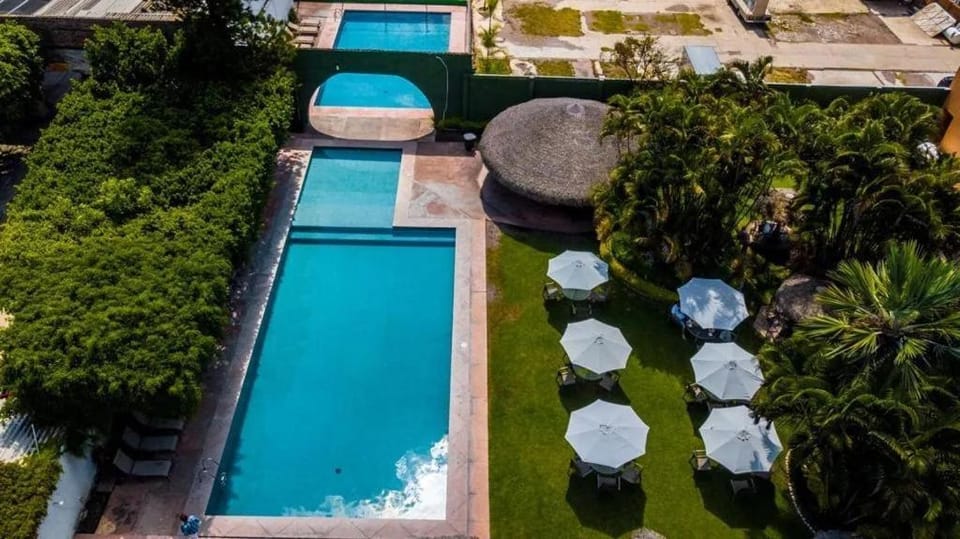 Garden, Garden view, Pool view, Swimming pool