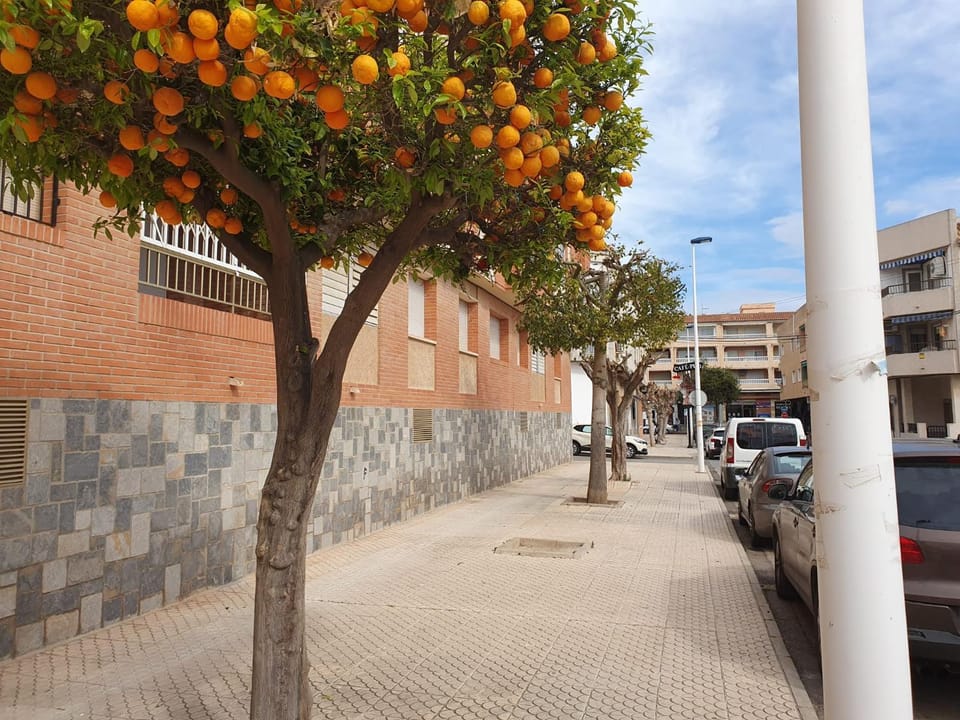 Neighbourhood, Street view, Location