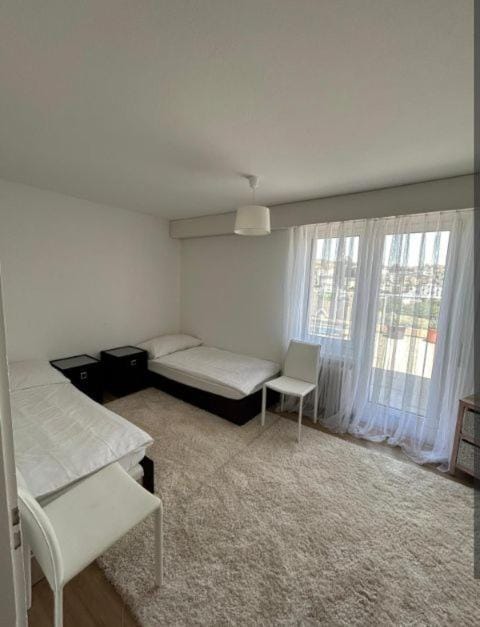 Rooftop ink Parking Apartment in Lucerne