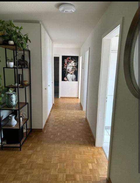 Rooftop ink Parking Apartment in Lucerne