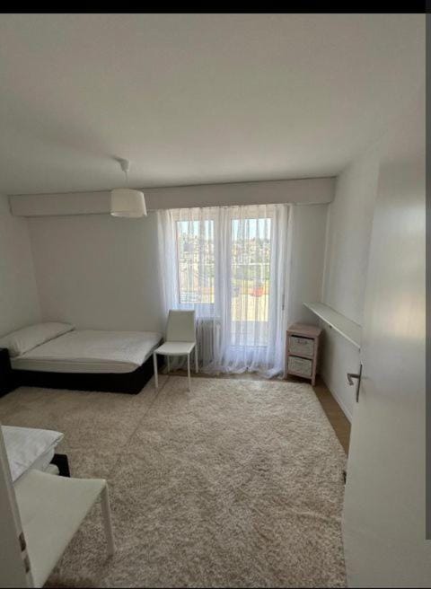 Rooftop ink Parking Apartment in Lucerne