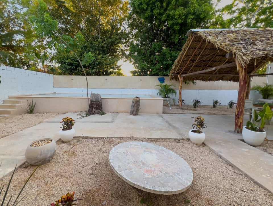 Patio, Spring, Day, Garden, Garden view