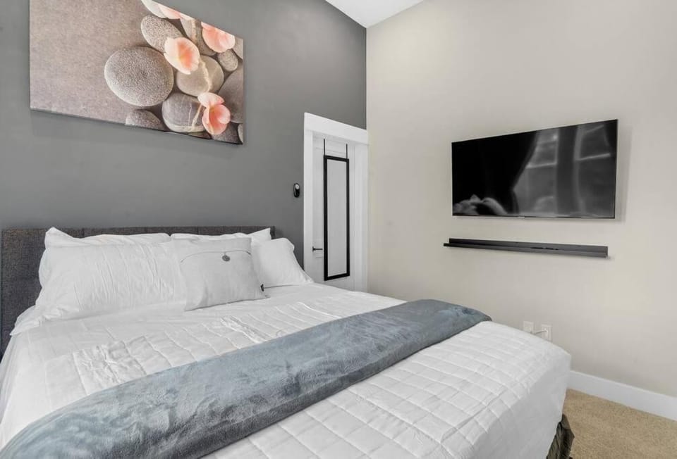 Gray Lux Hse 3BR 3 and half Ba MedCenter DownTWN HotTub Villa in Houston