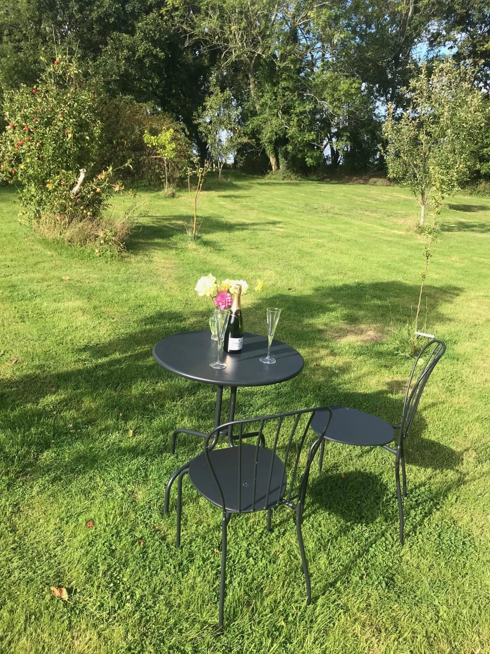 Rosebank B&B Bed and Breakfast in Rother District