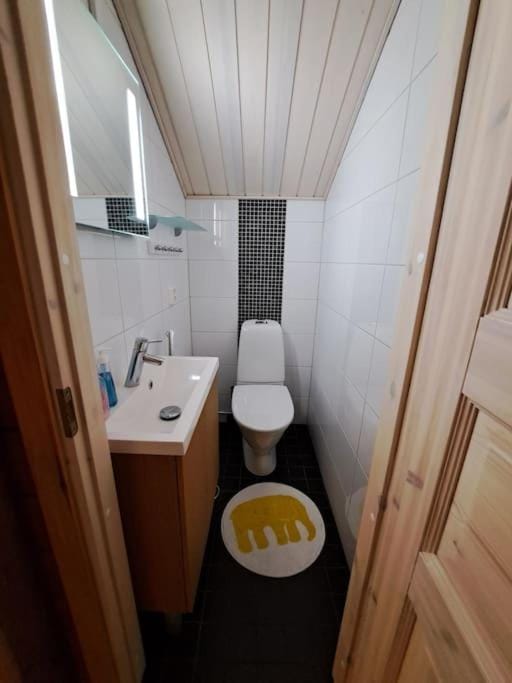 Hullun Mustikka Saukkopari Chalet in Lapland