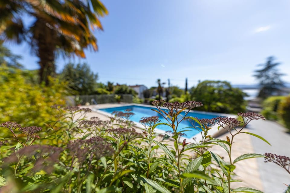 Garden, Garden, Garden view, Swimming pool
