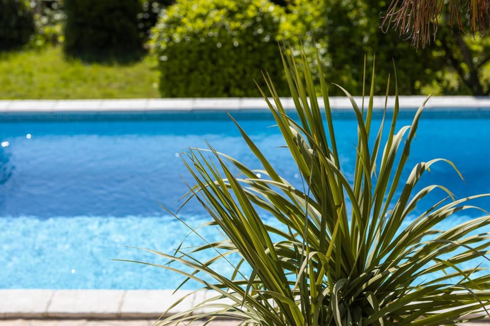 Garden, Swimming pool