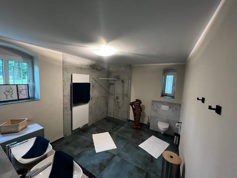 Shower, Bathroom, towels