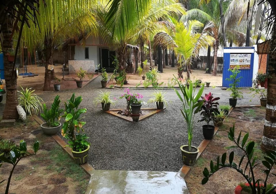 Garden, Garden, Garden view