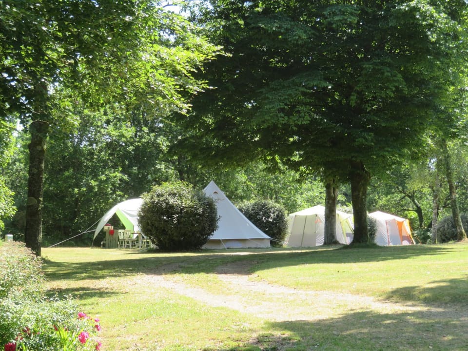 Natural landscape