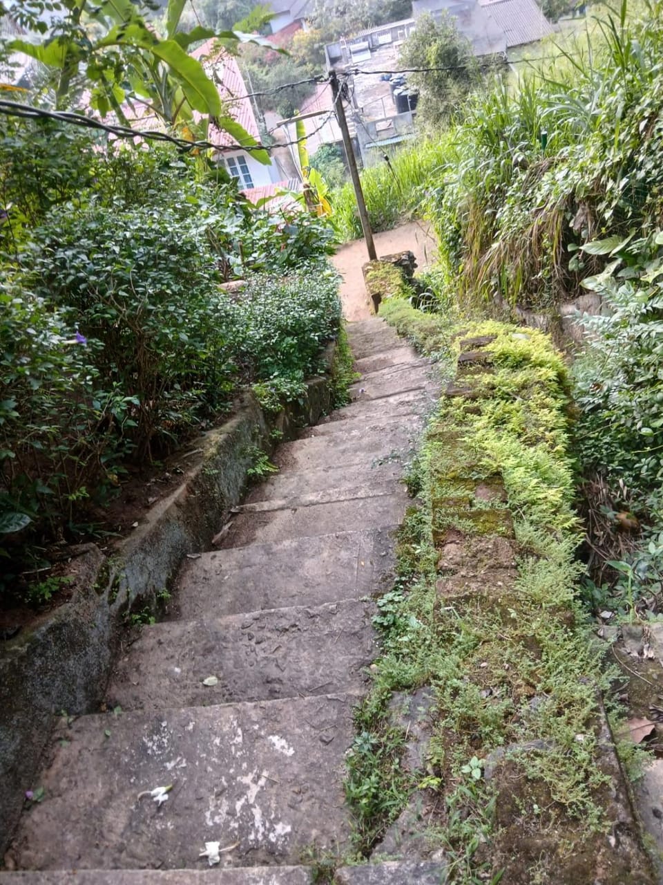 Squirrel's Nest Inn in Kandy