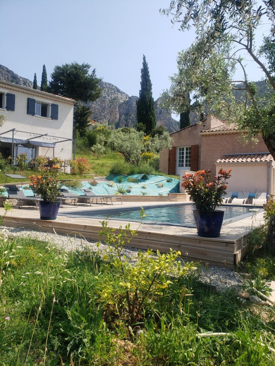 Garden view, Pool view