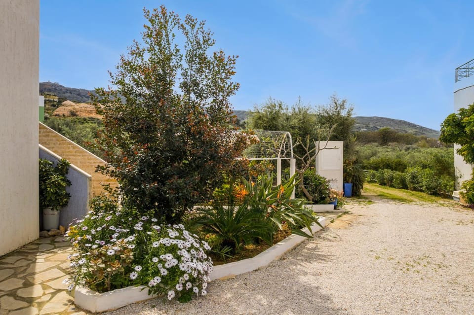 Spring, Day, Natural landscape, Garden, Garden view