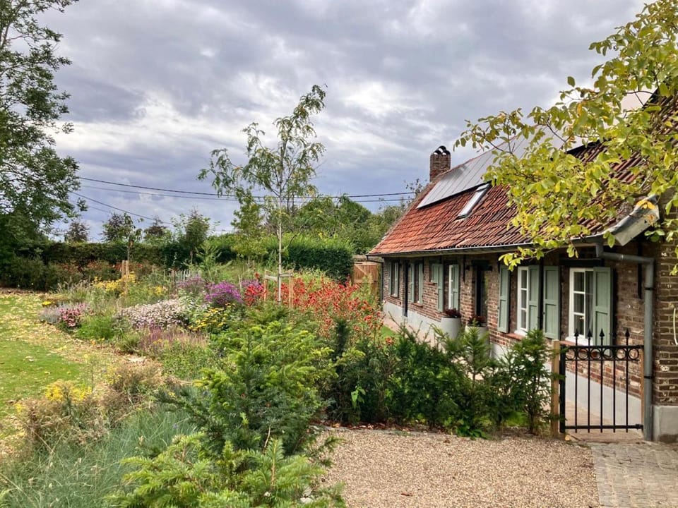 Property building, Day, Natural landscape, Garden, Garden view, Parking