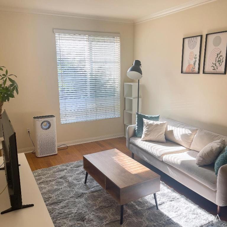 Living room, Seating area, Family