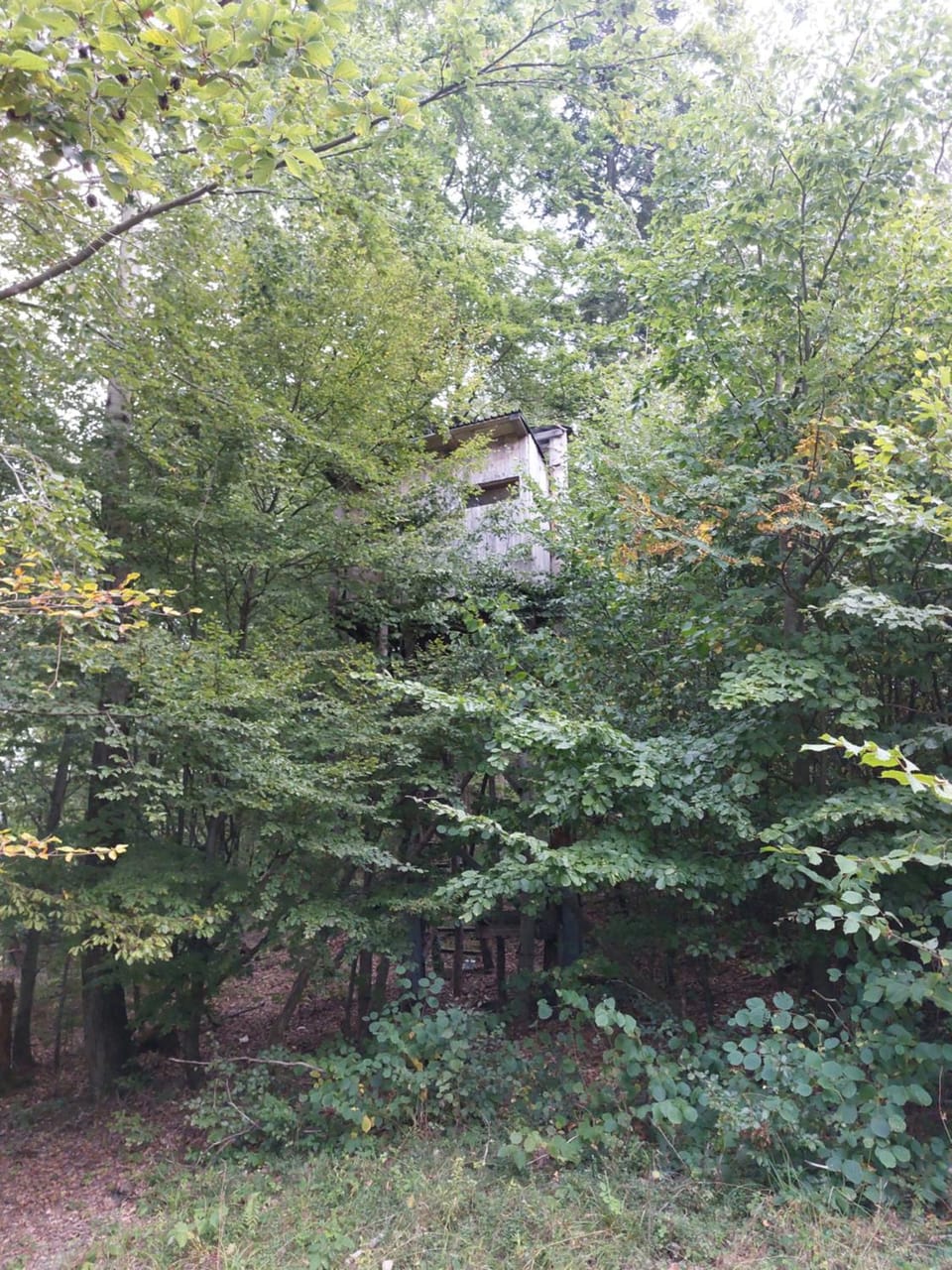 Tree house with private meadow in the middle of the forest Campground/ 
RV Resort in Slovakia