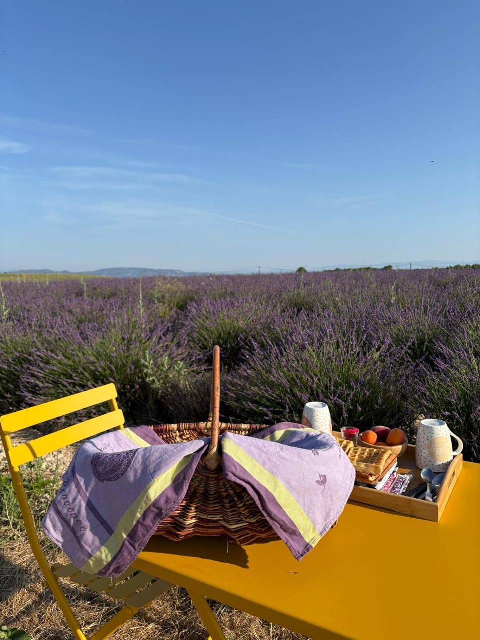 Nuit insolite dans les lavandes de Valensole Luxury tent in Valensole