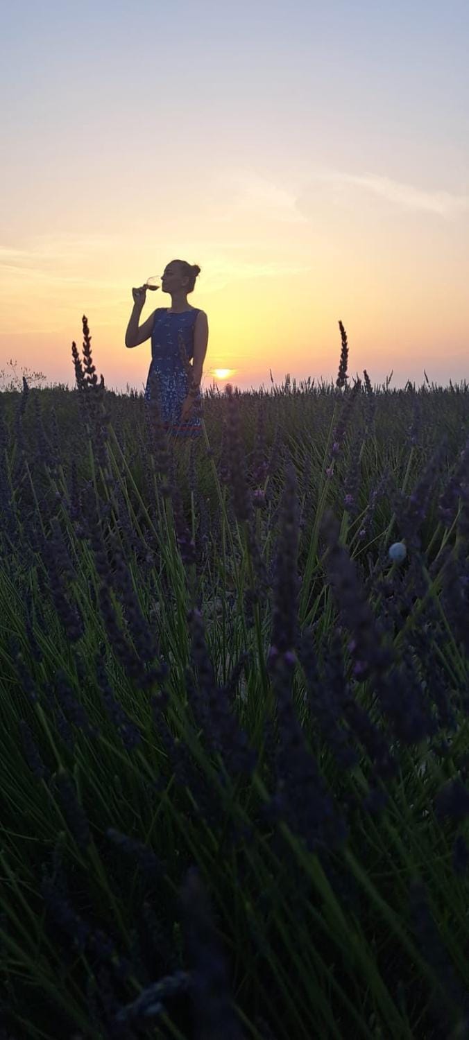 Nuit insolite dans les lavandes de Valensole Luxury tent in Valensole