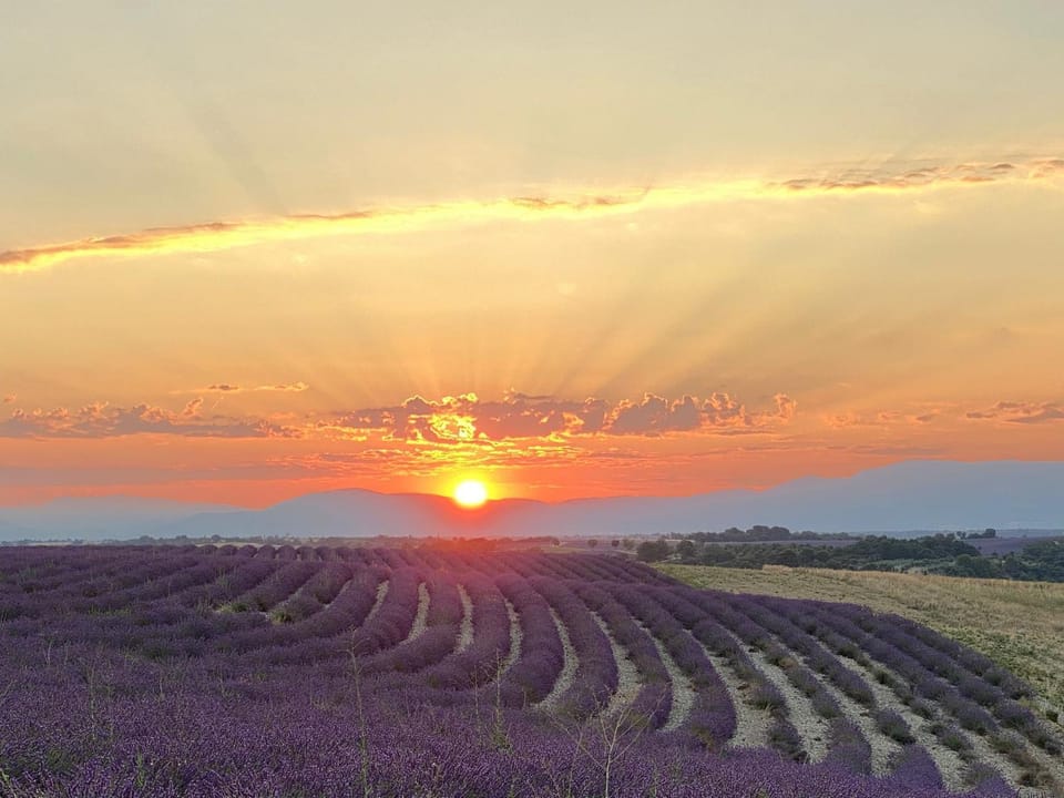 Natural landscape