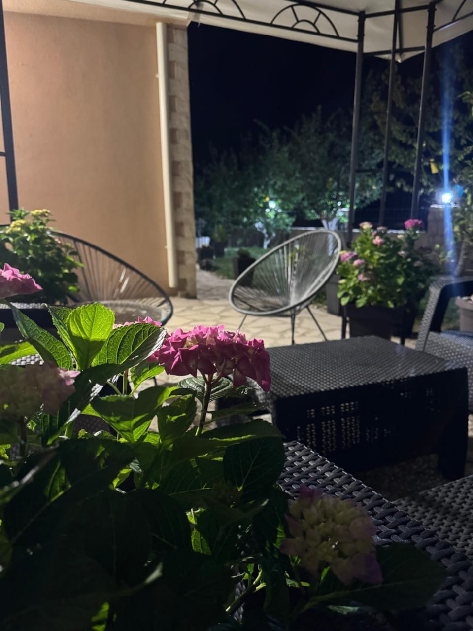 Oasis of peace Apartment in Budva Municipality