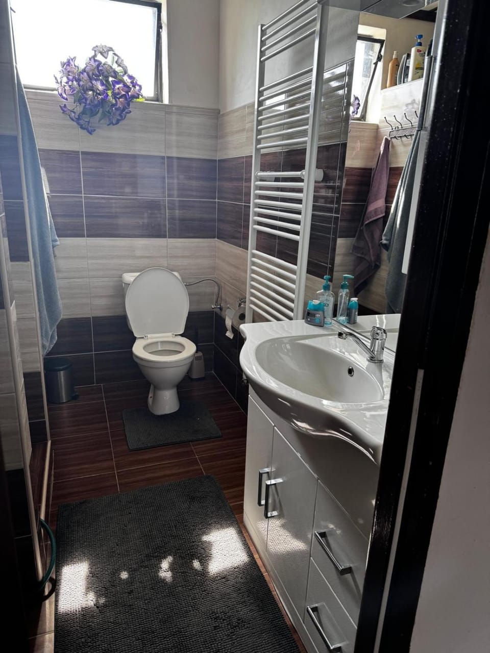 Ubytovani Anna Vacation rental in South Moravian Region