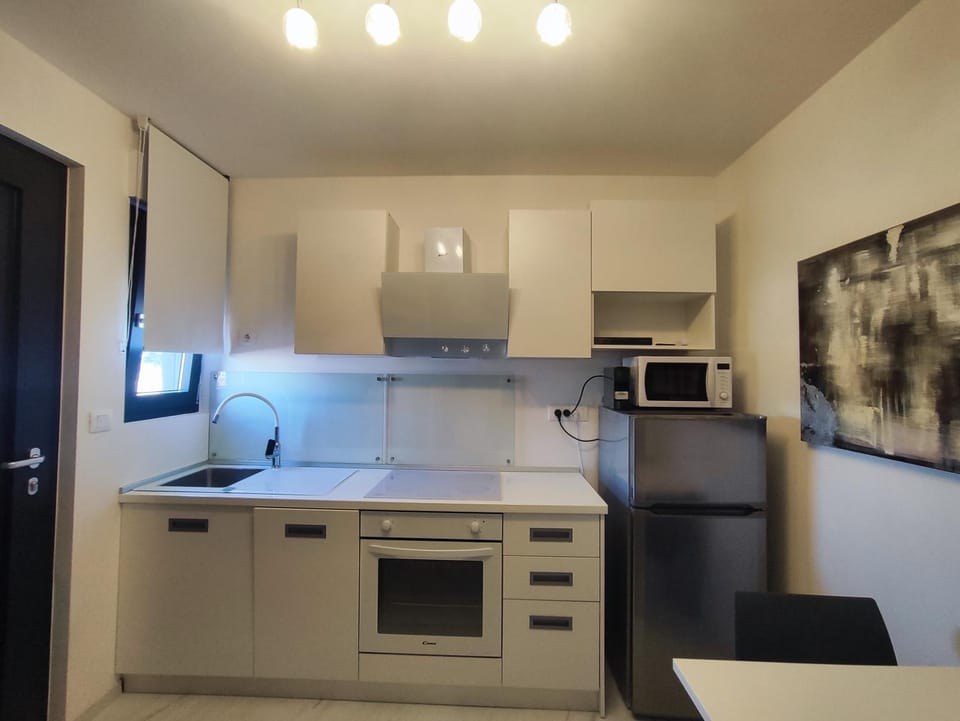 Kitchen or kitchenette, dishwasher, oven, stove