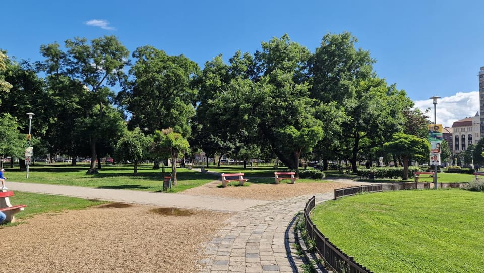 Natural landscape, Garden