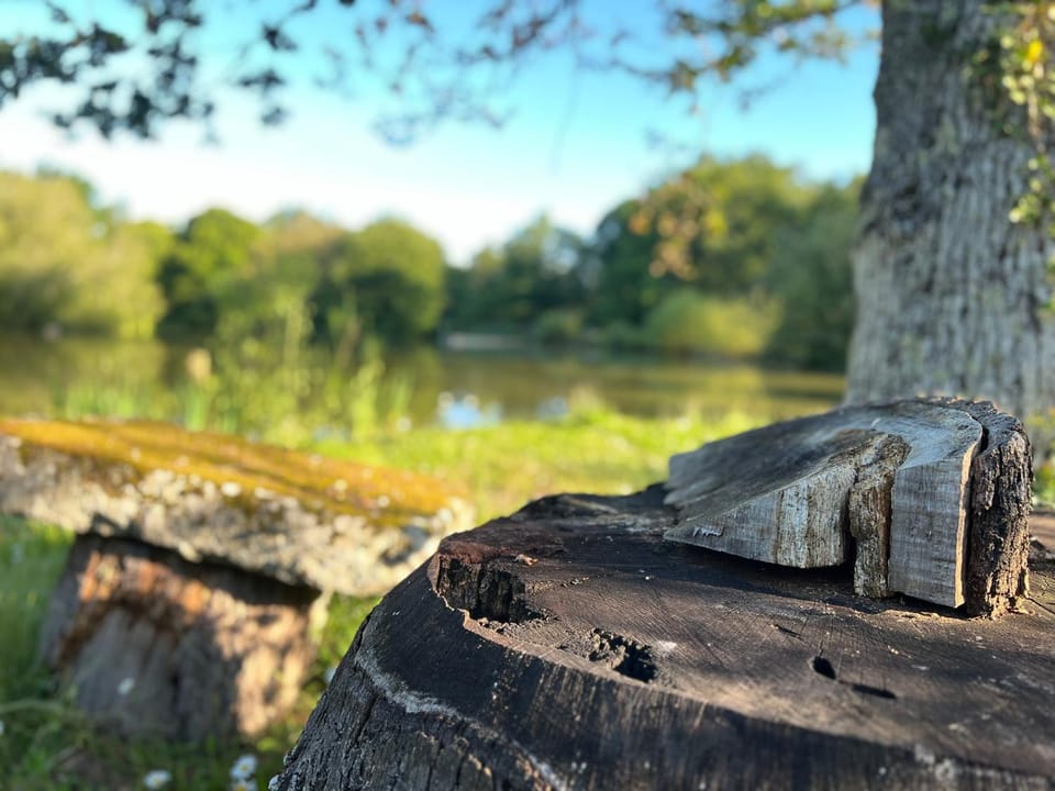 Natural landscape, Lake view