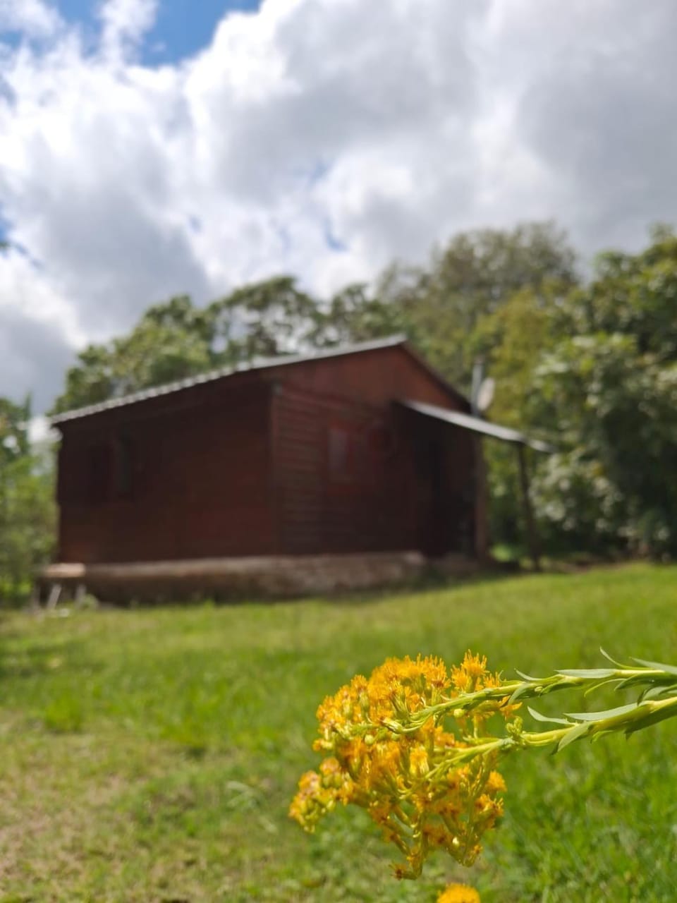 Cabañas La Fiaca Campground/ 
RV Resort in San Luis Province, Argentina