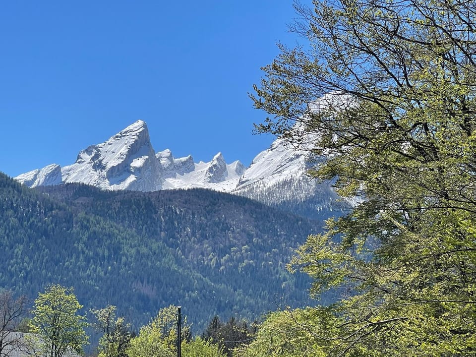 Ferienwohnung Waldwinkel Apartment in Berchtesgadener Land